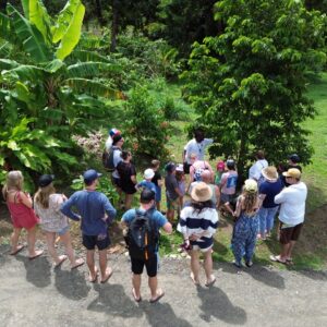 Negril To Luminous Blue Lagoon